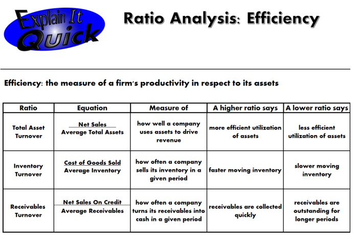 Ratio Analysis Efficiency